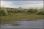 001-sd_pampa02.jpg.small.jpeg