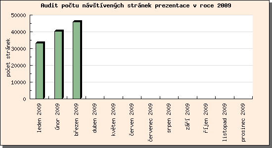 Audit návštívených stránek prezentace