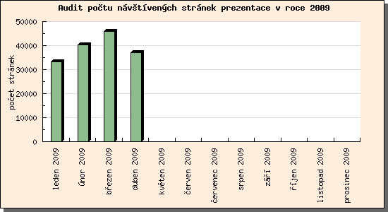 Audit návštívených stránek prezentace