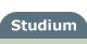 Studium