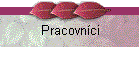 Pracovníci