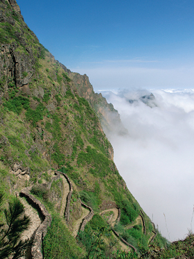 Kapverdský ostrov Santo Antão: dlážděná cesta se pod hranou kráteru Cova (1 250 m n. m.) noří do pasátové oblačnosti, která v těchto polohách determinuje výskyt většího počtu endemických druhů rostlin. Foto A. Vydrová a V. Grulich