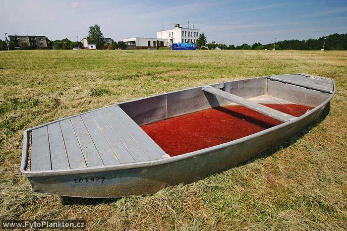 Loď naplněná dešťovou vodou je zbarvena červeně množstvím buněk řasy Haematococcus pluviatilis