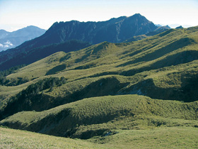 Rozsáhlé bambusové trávníky s endemickým bambusem Yushania niitakayamensis, charakteristické pro alpínské pásmo v nadmořské výšce nad 3 600 m (hora Chilai). Foto D. Zelený