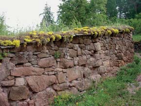 Vesnická zeď s násypem hlíny na koruně. Dominantu tvoří žlutě kvetoucí rozchodník prudký (Sedum acre). Železné u Tišnova. Foto D. Simonová