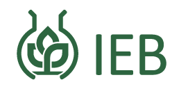 logo UEB