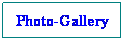 Textové pole: Photo-Gallery