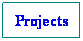 Textové pole: Projects