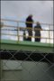 012-co_fence.jpg.small.jpeg