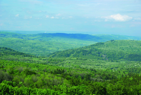 Centrální část Doupovských hor v okolí zaniklého města Doupova je vy užívána pro výcvik vojsk, přesto je i zde plocha křovin obrovská. Foto J. Vojta