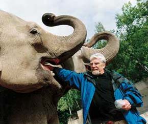 Zdeněk Veselovský se slony indickými (Elephas maximus) při návštěvě pražské zoo v r. 2003. Foto z archivu Zoo Praha