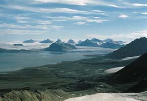 Zátoka Kongsfjorden na souostroví Svalbard s přilehlými ledovci a deglaciovanými územími. Foto J. Elster a kol.