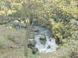 The Šárecký potok (Šárka brook)