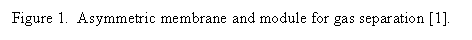 Textové pole: Figure 1.  Asymmetric membrane and module for gas separation [1].