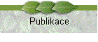 Publikace