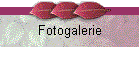 Fotogalerie