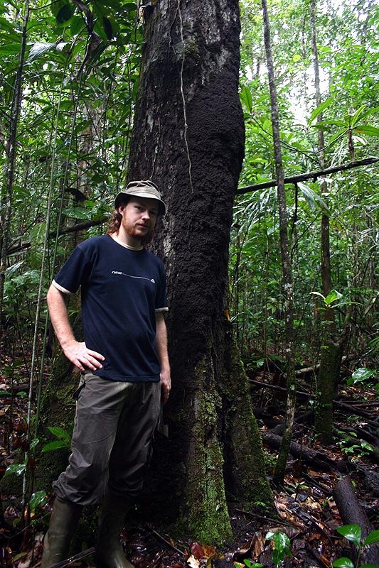 Thomas and Labiotermes nest