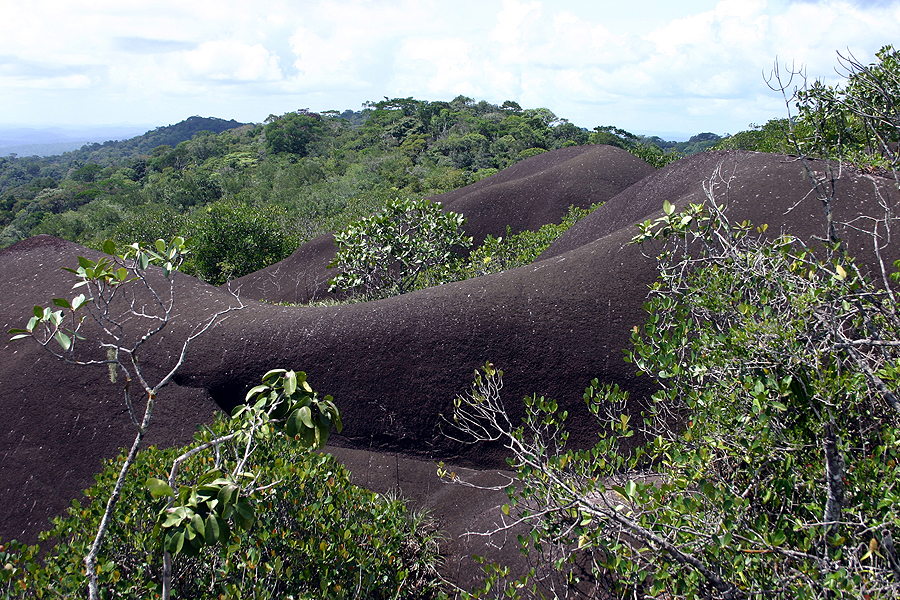 nouragues inselberg