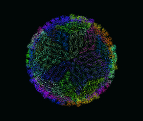 Model částice flaviviru dengue tvořené obalovým proteinem DENsE (různé barvy představují celkem 180 molekul proteinu). Struktura jedné molekuly byla nejprve určena rentgenostrukturní analýzou a následně převedena do mapy 
<br/>elektronových hustot maturované částice získaných kryo-elektronovou mikroskopií. Finální obrázek vznikl v programu Discovery Studio Visualiser. Orig. V. Martínek
<br/>