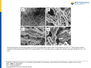 fig01.jpg