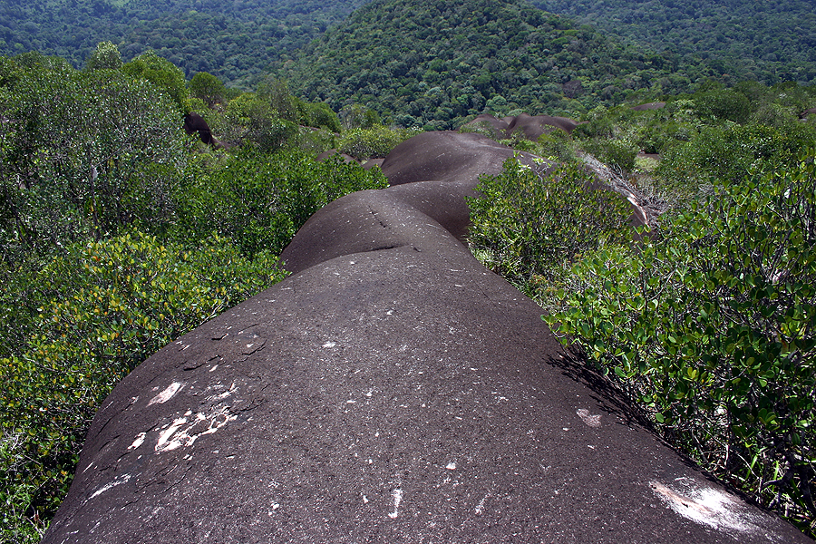 nouragues inselberg