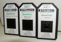 Affymetrix GeneChips three chips