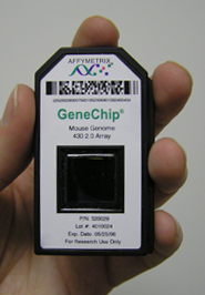 Affymetrix GeneChip chip in hand