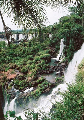 Okolí Río Iguazú, včetně vodopádů, pokrývá původní tropický deštný les pronikající azonálně až do této oblasti subtropů.
<br/>Foto J. Májsky