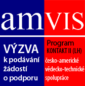 amvis