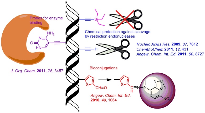 Chemical biology of base-modified nucleic acids