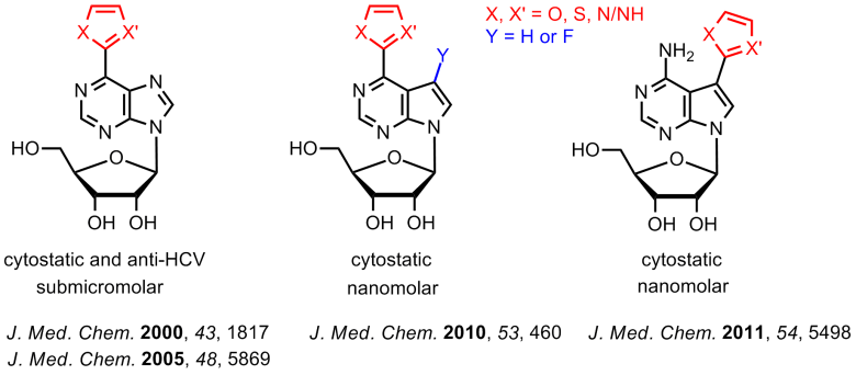 Medicinal chemistry of analogues of nucleobases and nucleosides