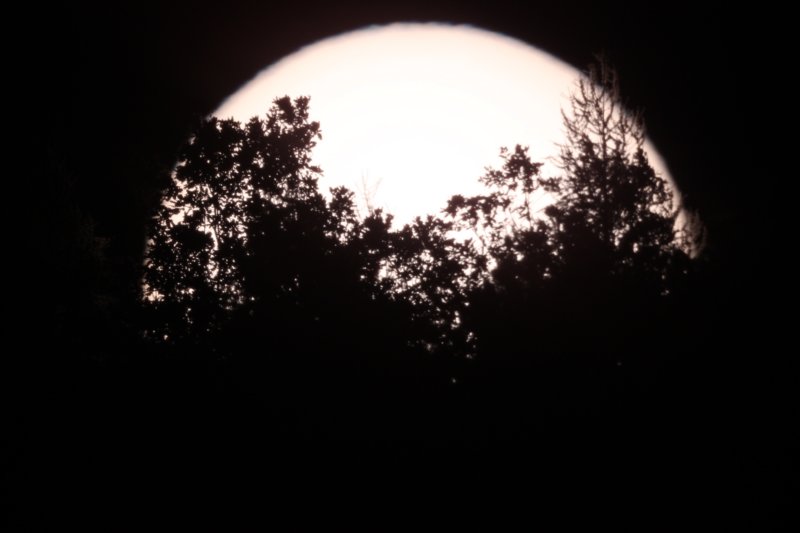 photo9.jpg