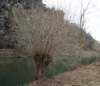 photo17_small.jpg