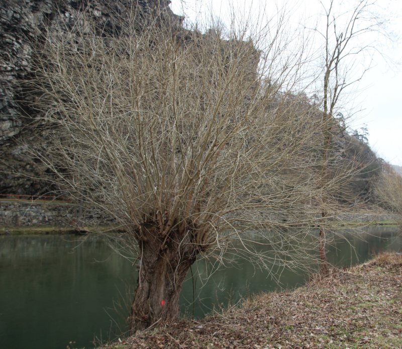 photo17.jpg