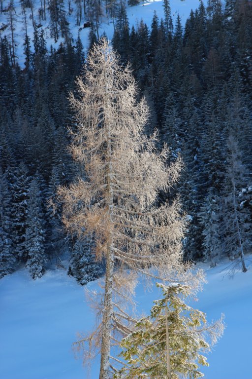 photo12.jpg