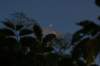 photo32_small.jpg