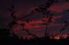 photo14_small.jpg
