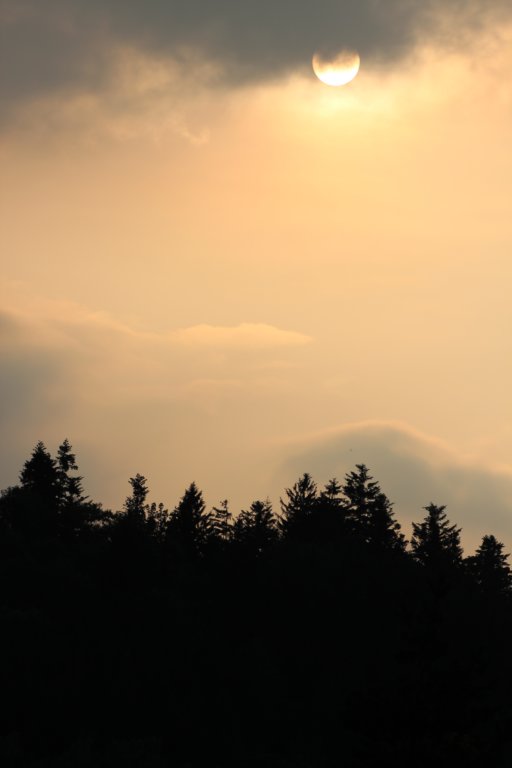 photo20.jpg