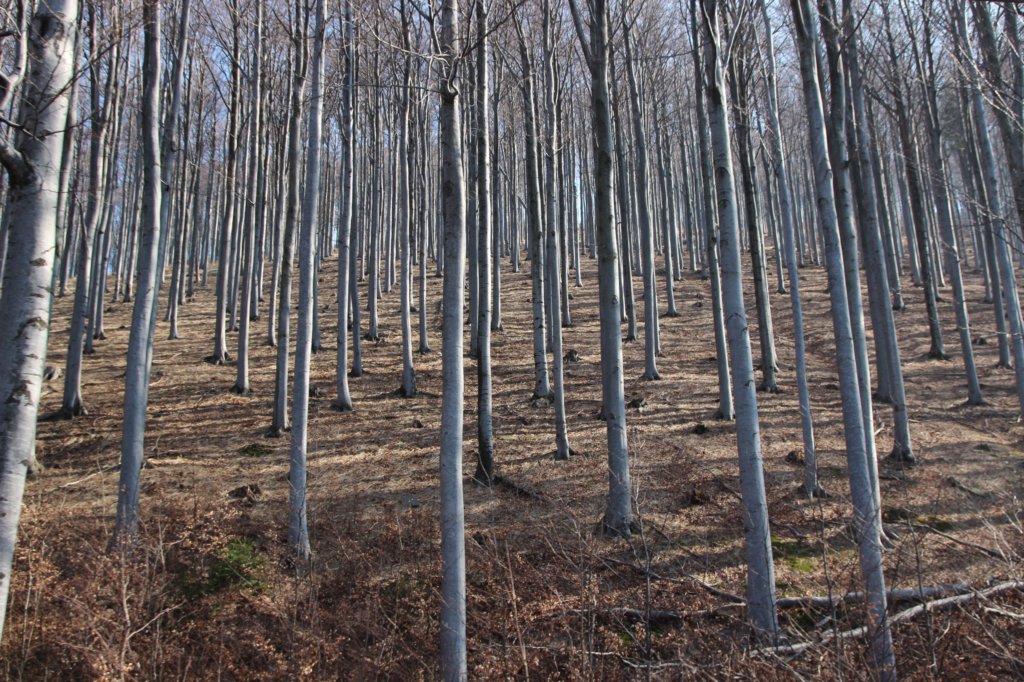 photo14.jpg