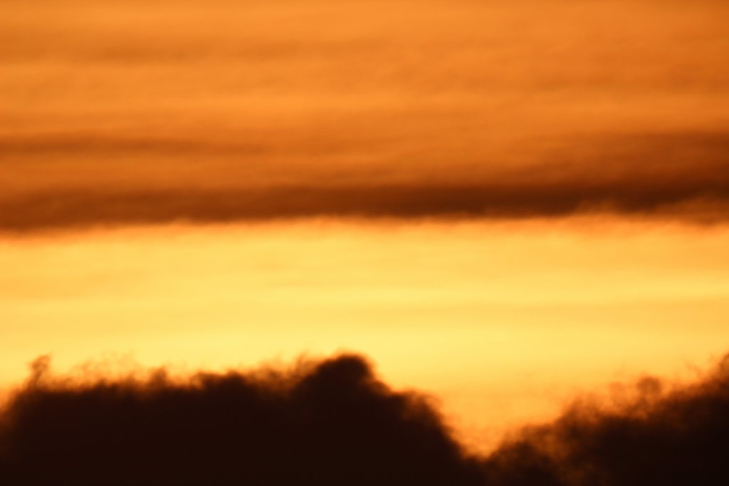 photo32.jpg