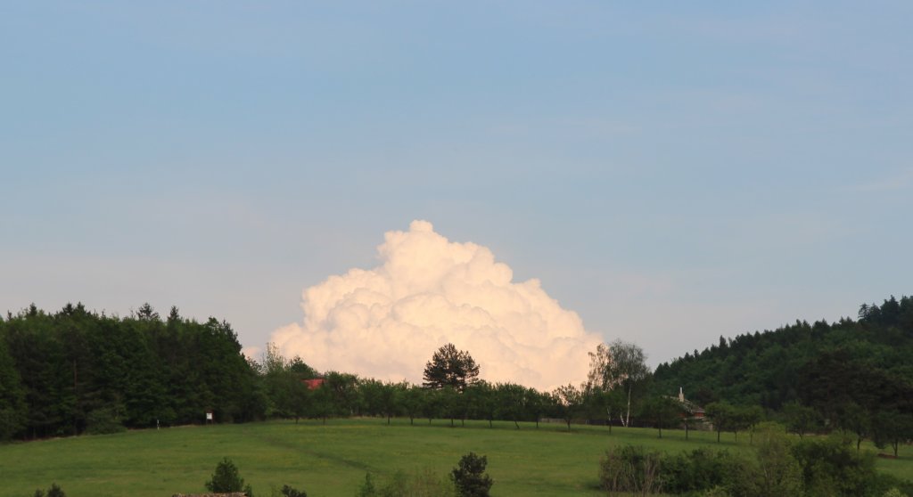 photo6.jpg