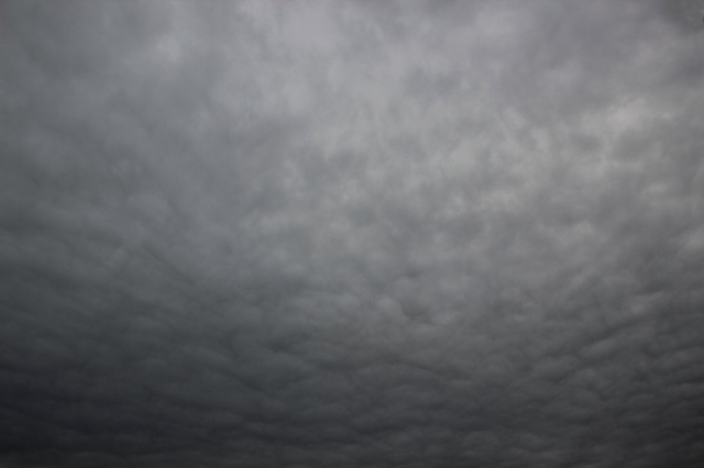 photo16.jpg