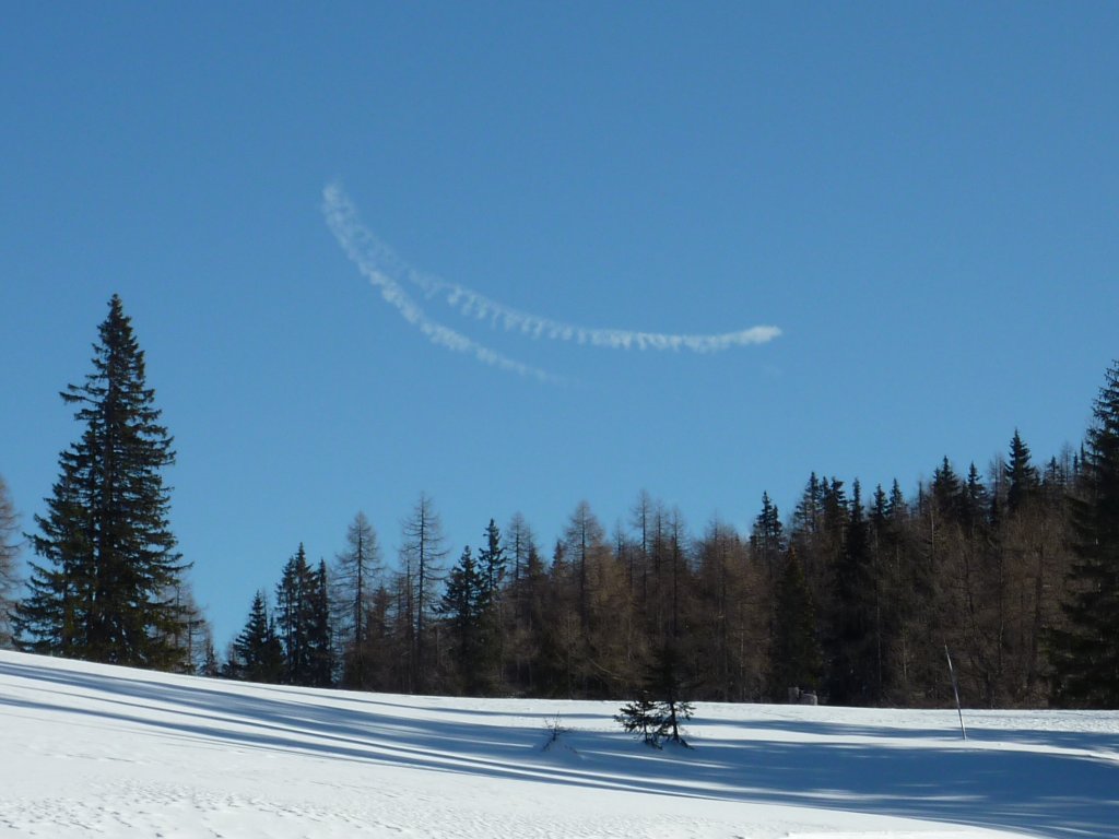 photo26.jpg