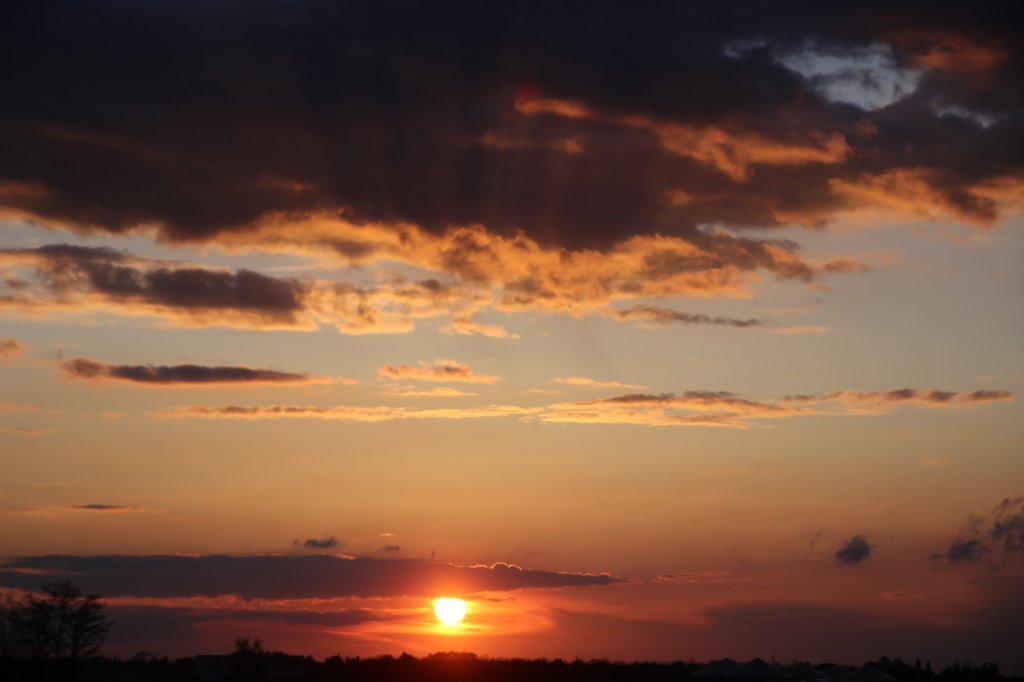 photo24.jpg