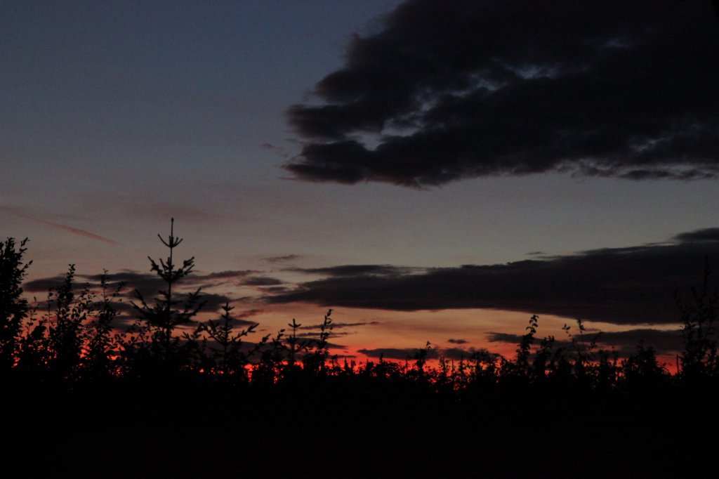photo12.jpg