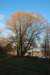 photo2_small.jpg