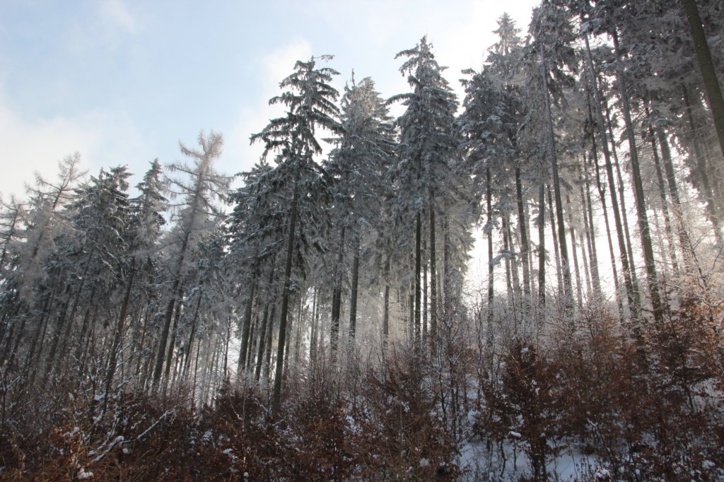 photo6.jpg