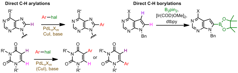 Development of novel methodologies for the synthesis of modified nucleobases and nucleosides