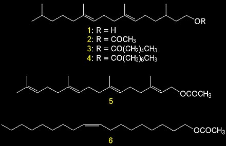 chemicals