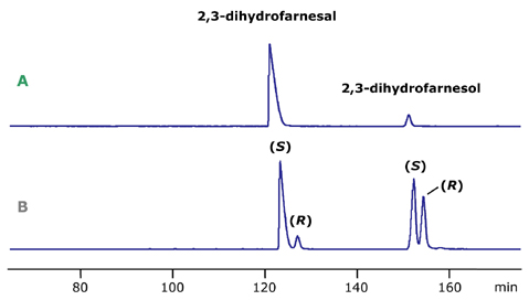 2,3-dihydrofarnesal and 2,3-dihydrofarnesol enantiomers on the chiral column